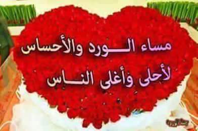 SayedFathe1's tweet image. 