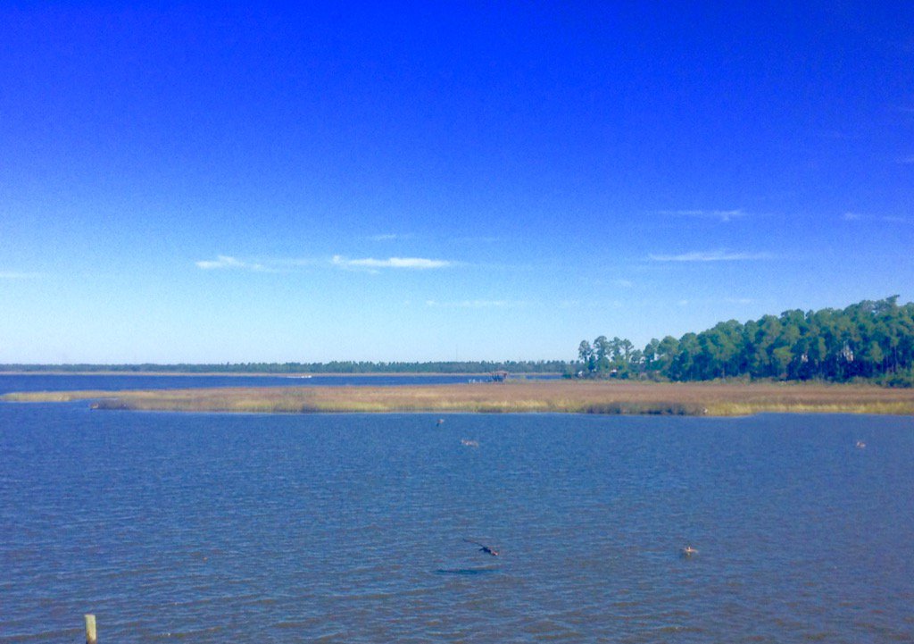 KBirtel's tweet photo. @MargaretOrr https://t.co/JVcATVmiqI