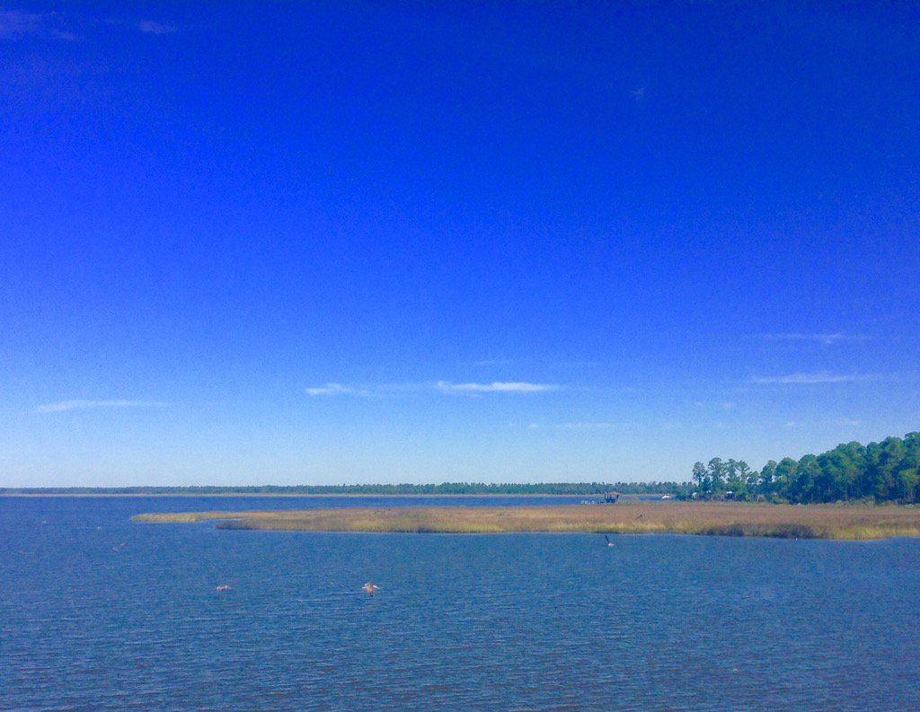 KBirtel's tweet photo. @MargaretOrr https://t.co/noACCTAyvY