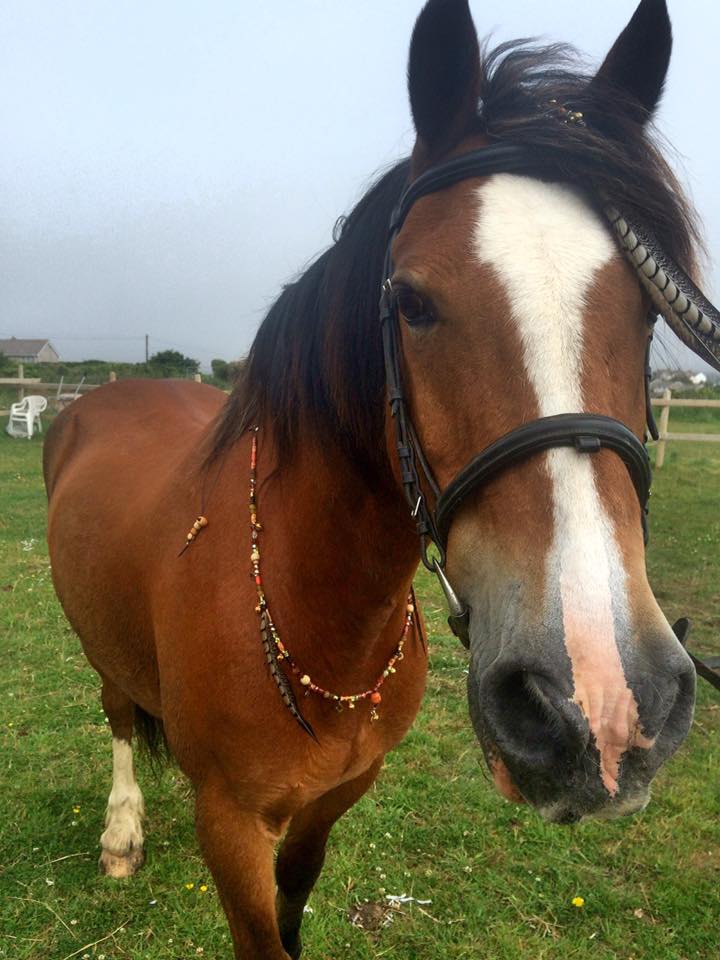 WhiteSteedBeads's tweet photo. Celebrate your horse.@WhiteSteedBeads  Horse jewellery - Purpose &amp; Passion #rhythmbeads #horses #loveyourhorse #mrwilf https://t.co/ClcFU9HskC