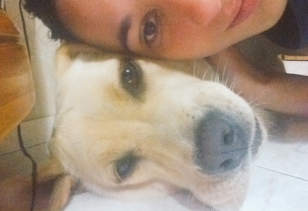 teremnn's tweet photo. "Quando sono con te..." 💚🎶 https://t.co/TC9iAo2jfY