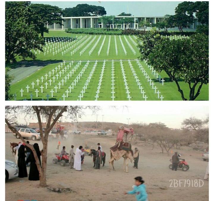 اللي فوق مقبرة ببلاد الكفار  ..... اللي تحت منتزه ببلاد المسلمين  ...... !!
#تصبحو_ع_خير  😴😴😴