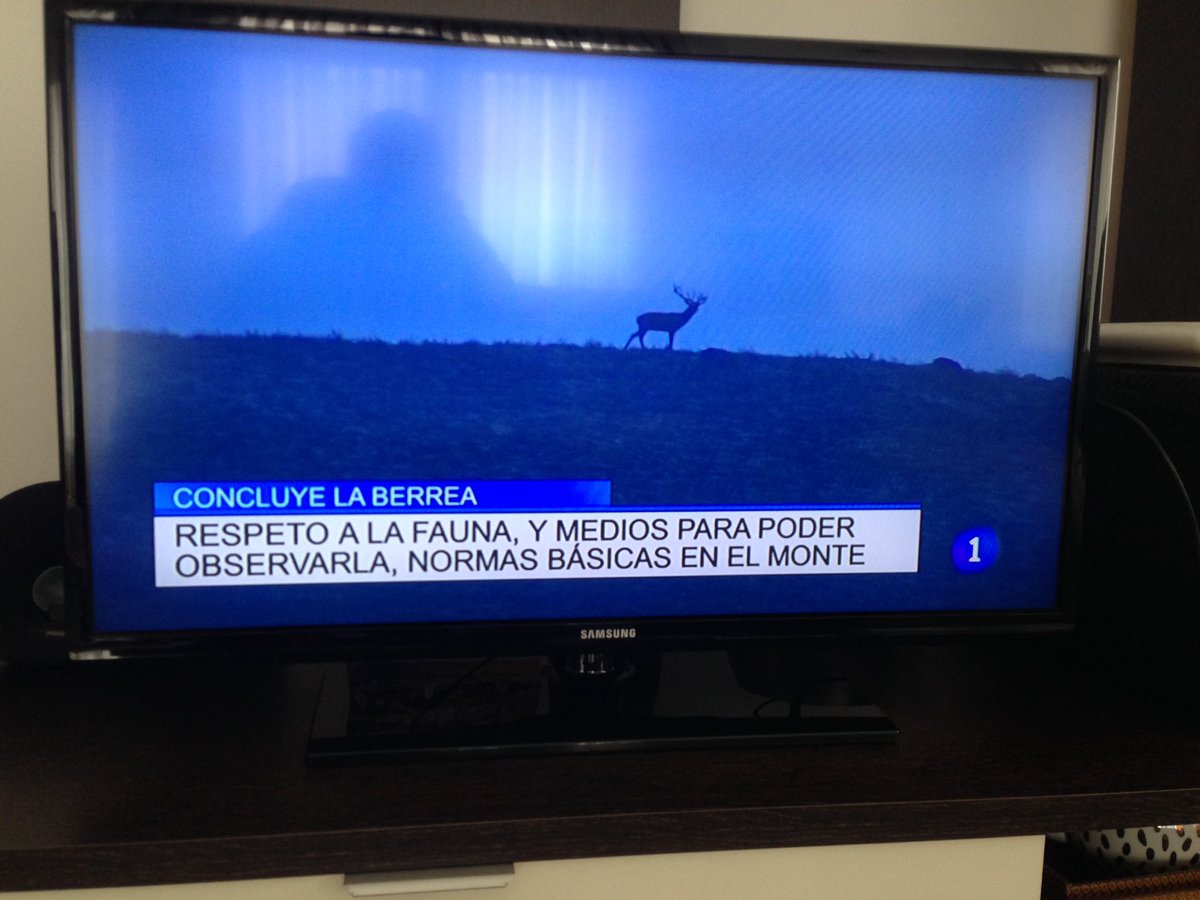 moroconde's tweet photo. Buen mensaje de @tve_tve #Cantabria en sus noticias Respeto a la fauna en #berrea @PNSajaBesaya @APEA_CANT @cant_infinita @aquilatierratve https://t.co/YstmzMkD6U