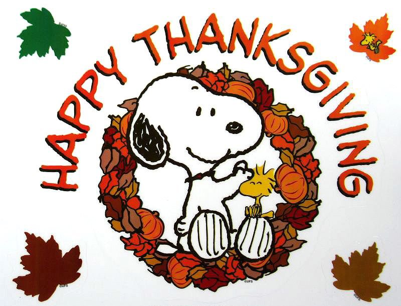 Two Dogs Digital tweet media