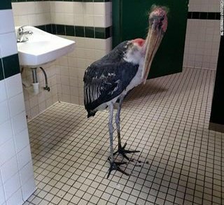 dinero_cnn's tweet image. #CNNSOTU #CNNKFile #CNNKFile #cnngo #cnnbrk #cnnentertainment