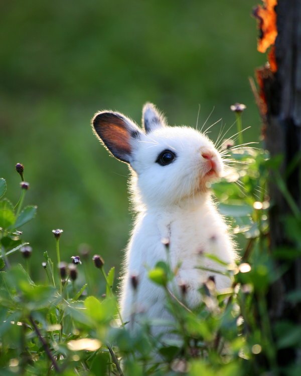 Best Pictures (@ra_bestpictures) on Twitter photo 