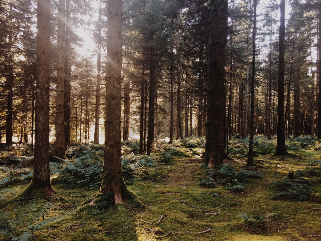 _MariaMadison_'s tweet image. Looking for a couple who still have a wedding dress in their cupboard!Lets do a shoot!pm me