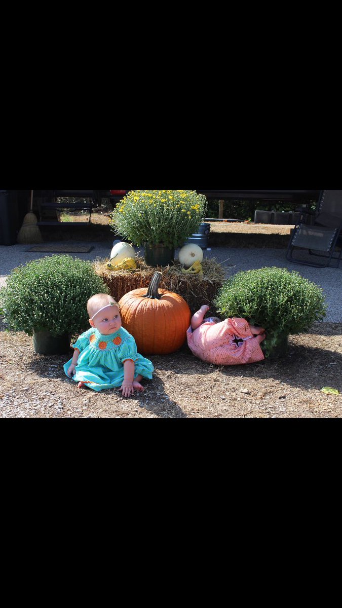 And the 5 little pumpkins rolled out of sight! Grandkidsrgr8!