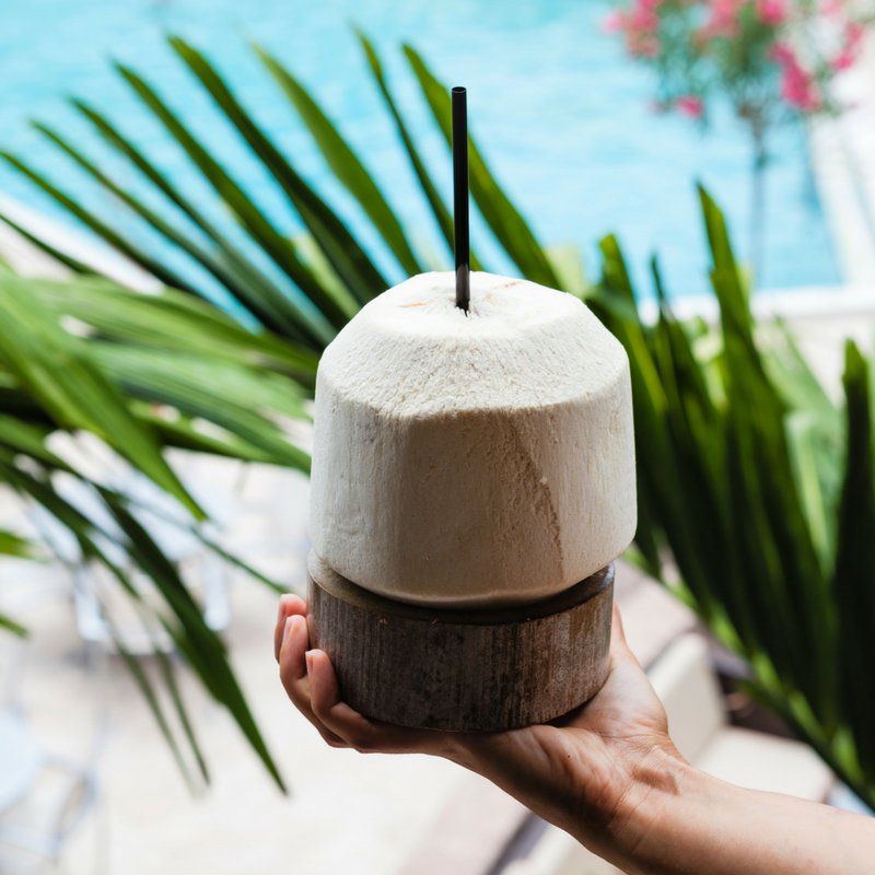In need of a mini vacation? Order one of our delicious frozen cocktails and relax poolside at the Wyndham Hotel Boca Raton.