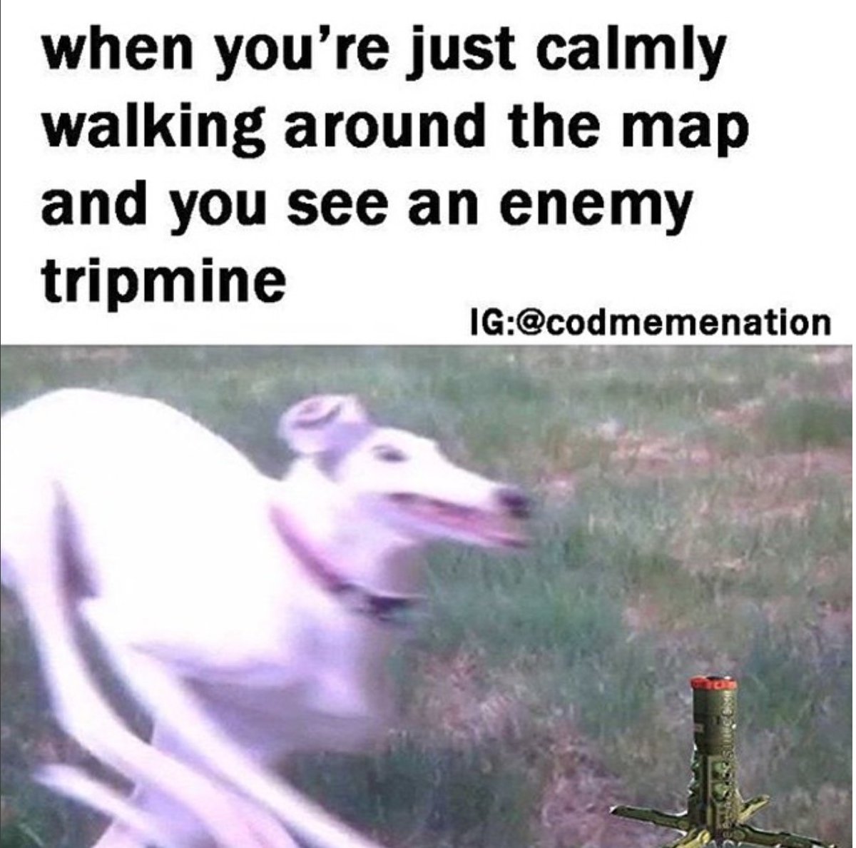 GameBinApp's tweet image. #videogames #gamer #gaming #consolegamer #consolegaming #ps4 #xboxone