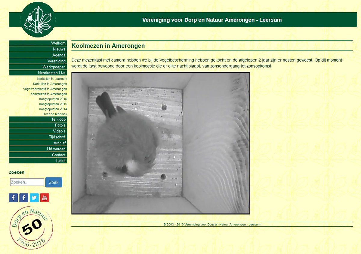 Vanaf zonsondergang slaapt er een koolmeesje in onze nestkast. Volg #nestkastenlive op bit.ly/2dXg9Sn