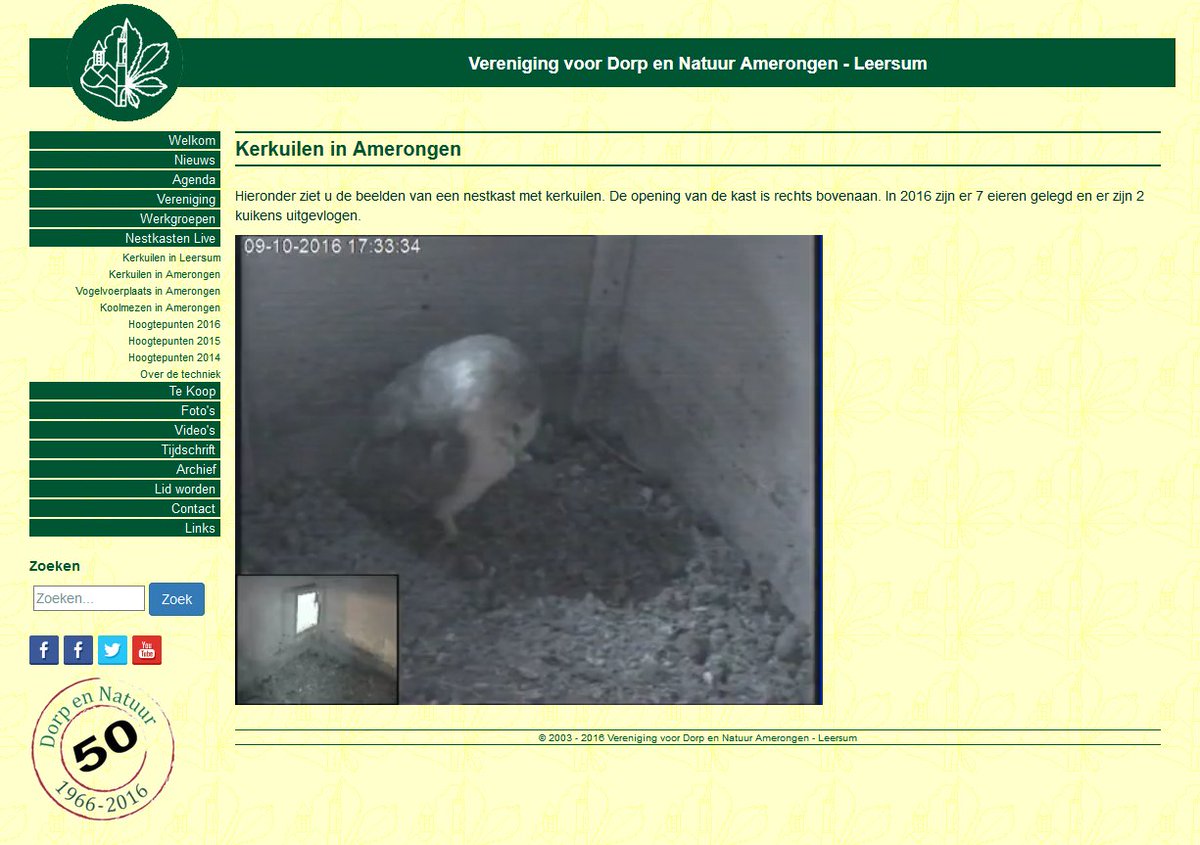 De hele dag was er weer een kerkuil in onze nestkast te Amerongen. Volg #nestkastenlive op bit.ly/2cKYhMZ