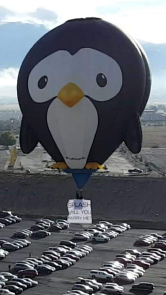 FlyPenguinUK's tweet photo. She said YES! #FlyPenguin #PenguinProposal @balloonfiesta @krqe @KOB4 @ABQJournal @GlenMoyer1 @VisitABQ @ABQ_News https://t.co/qvXohIyfeN