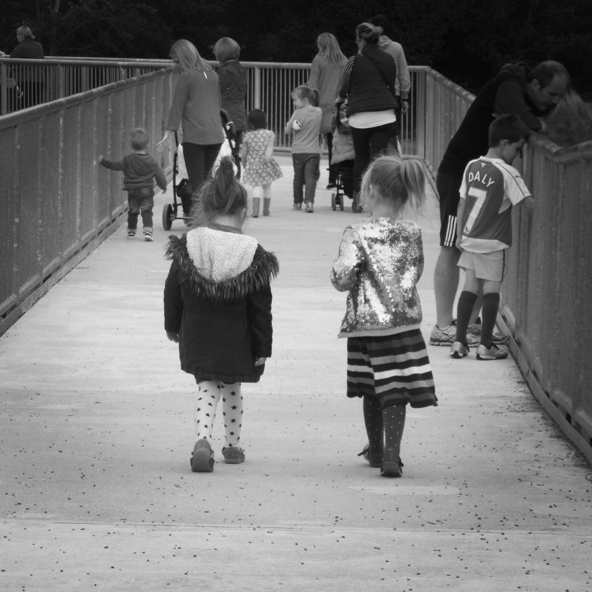 TheShuiligans's tweet photo. Amazing #autumn day @fotawildlife with  #miniShuiligans #family #cork #tourist https://t.co/3qGbJtwb0x