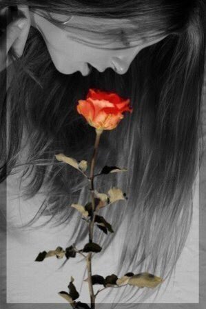 أيضريك عناق الحب فوق صدري
قوليها أحبك والتفي بختم قلبي
أرقب إغماءةبين يديك
نذيب بها اشتياقا ممردا بالحذر
تسللي منابت صدري واستقي تنهيدة روحي