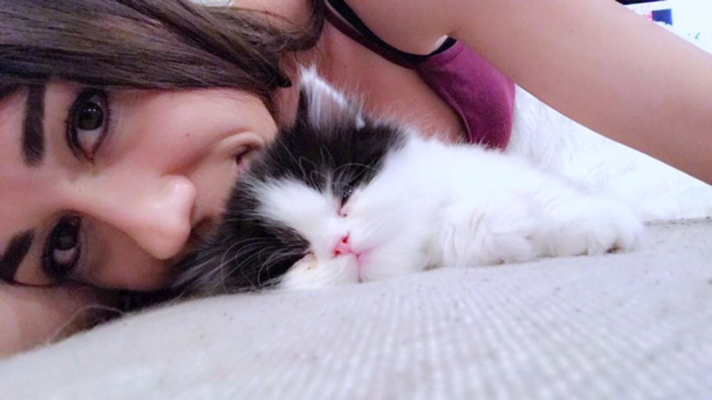 ReasonsSmiIe's tweet photo. Colleen Ballinger's new kitten. https://t.co/eCZone2aaY