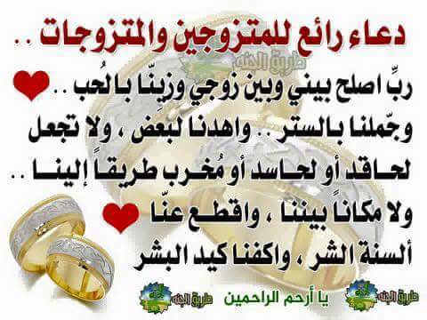 SayedFathe1's tweet image. 