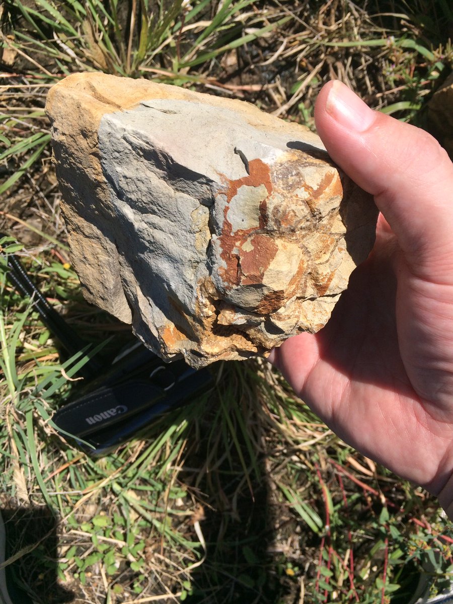 Geocachetalk's tweet photo. International #earthcacheday @Susan_Slinkard and I did GC2DB5N Geodes #geocaching https://t.co/SV4VUNGpuz