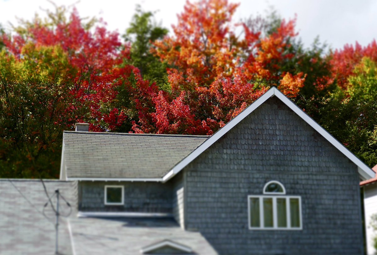 skjohns's tweet photo. Looking over my house to the trees behind it. #gloriousFall #saranaclake #fillsthesoul https://t.co/NNKgtuSepw