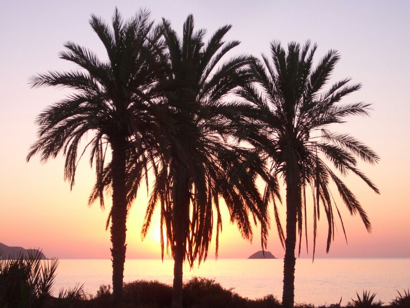 Tamayologia's tweet photo. Cosicas que alegran. #PozoDelEsparto #Almeria https://t.co/o9duS5FnVH
