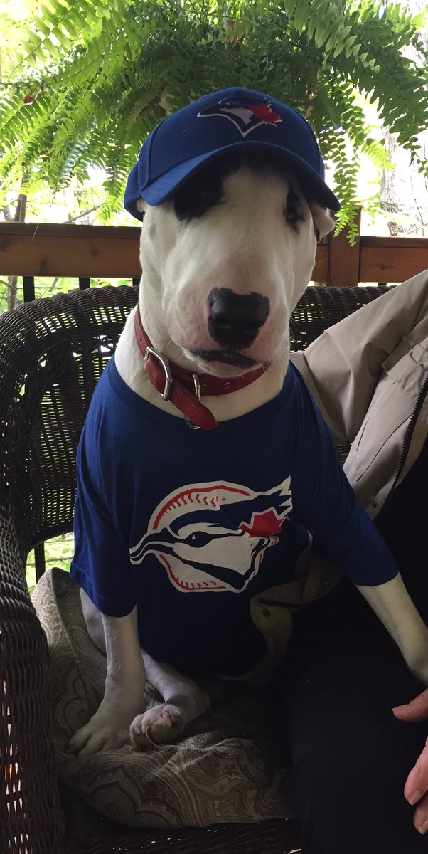 HMatthews222's tweet photo. Hit a homer for your #1 fan @BlueJays Hank #getawin #birddog https://t.co/kljRpCiOhx