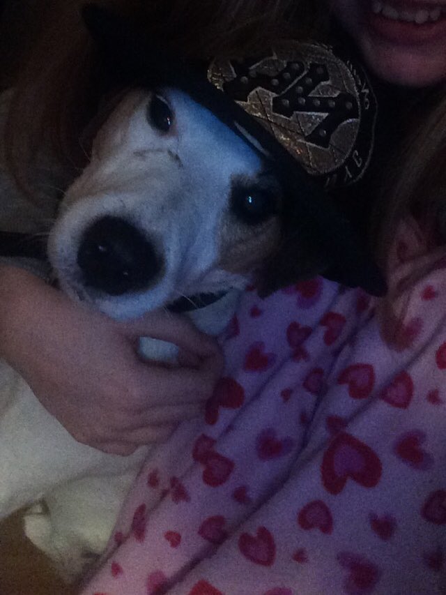 capri_sugg's tweet photo. Dressing my dog as @The_Honey_G @TheXFactor 😂 https://t.co/NF5QpbFSWc