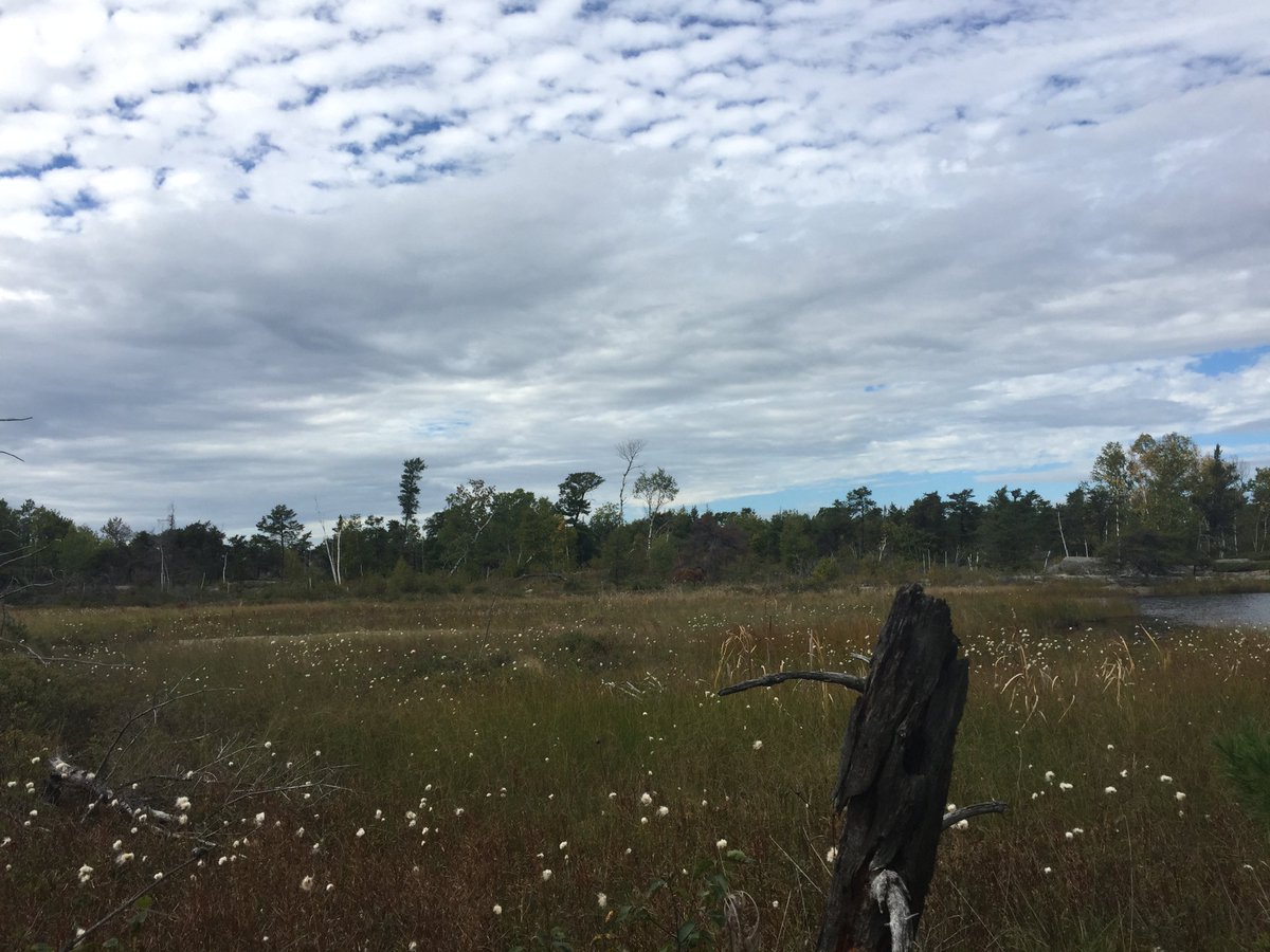 nickromyn's tweet image. It’s getting pretty cold but I’d still like to be at the cottage. #keyriver