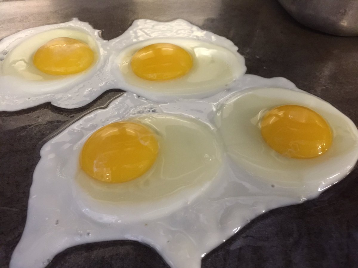 bucher_dinerguy's tweet photo. These two items, with Delta Diner Toast, may well be the perfect breakfast! #deltadiner #porkstuffedhashbrown https://t.co/6j3pefvGcR