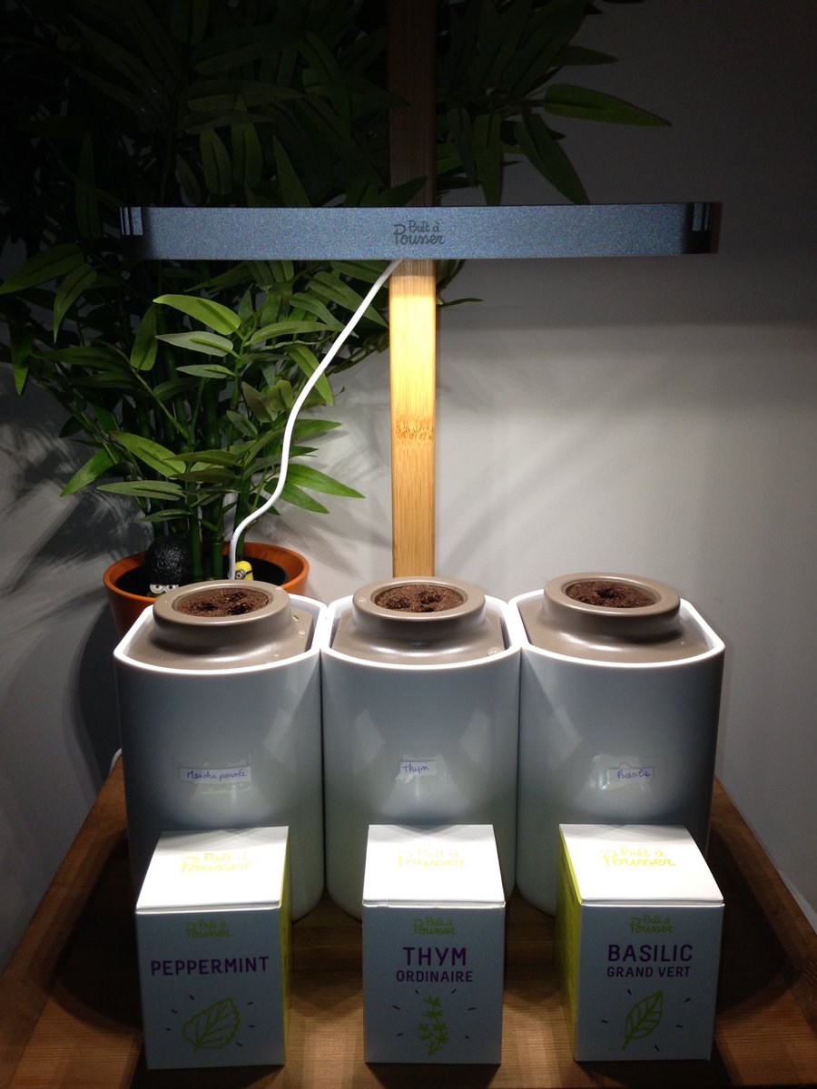 C'est parti ! Trop hâte de voir tout ça pousser 🤗 <a href="/saraxlacroix/">Sarax Lacroix</a> <a href="/YassiKhansari/">Yasmine Khansari</a> @EndzaDjergaian @helagargouri <a href="/Pretapousser/">Prêt à Pousser</a>