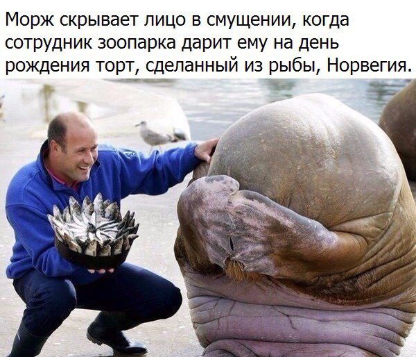 _Balah's tweet image. Всем больше добра🤗