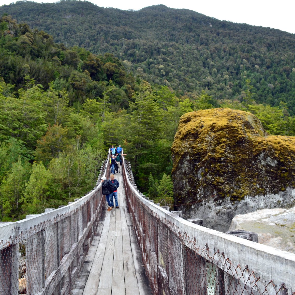 ChileFoto's tweet photo. El Parque Nacional Queulat - Región de Aysén.

Administración: @conaf_minagri https://t.co/ZnT69jBqdr