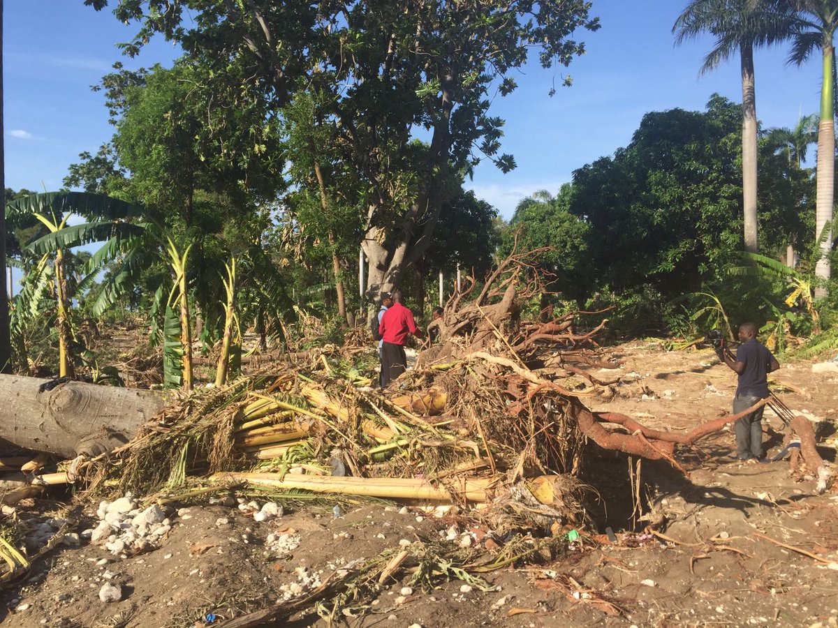 UNDP's tweet photo. Crops destroyed by #HurricaneMatthew = more hungry ppl &amp; less income 4 #farmers. Help rebuild: https://t.co/H6MkaD5BZS https://t.co/6rrWfkjerb