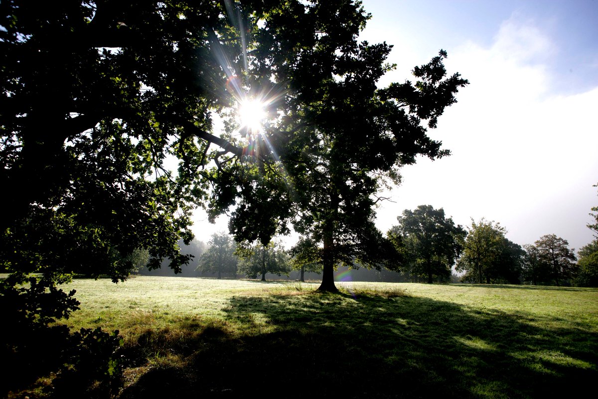 elevation. tweet media