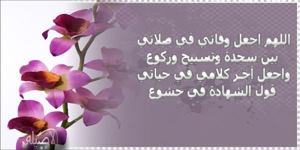 e05536 tweet picture