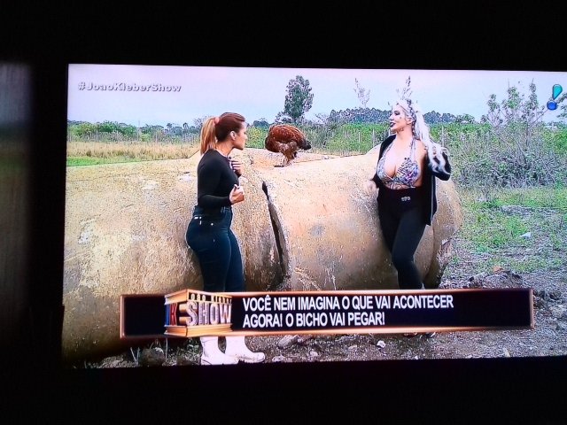 Pupa_Dias's tweet photo. O bicho tá pegando! #ranchinho #JoaoKleberShow @JoaoKlebereall @RedeTV @eliasabrao https://t.co/XjHIfmoeR2