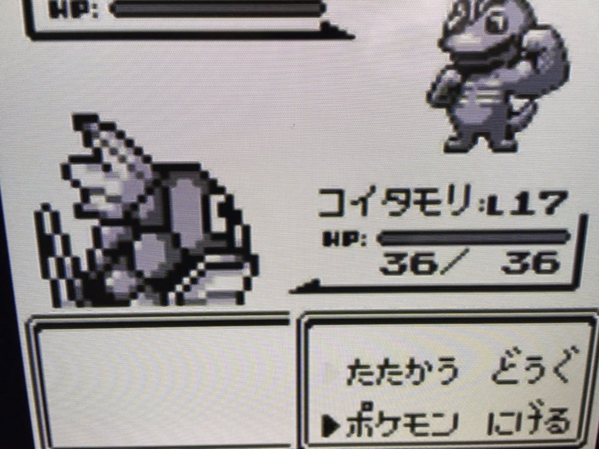 ありかちょポケモン図鑑 現在は コイタモリ ことコイキングの進化を目指してレベルアップ中です