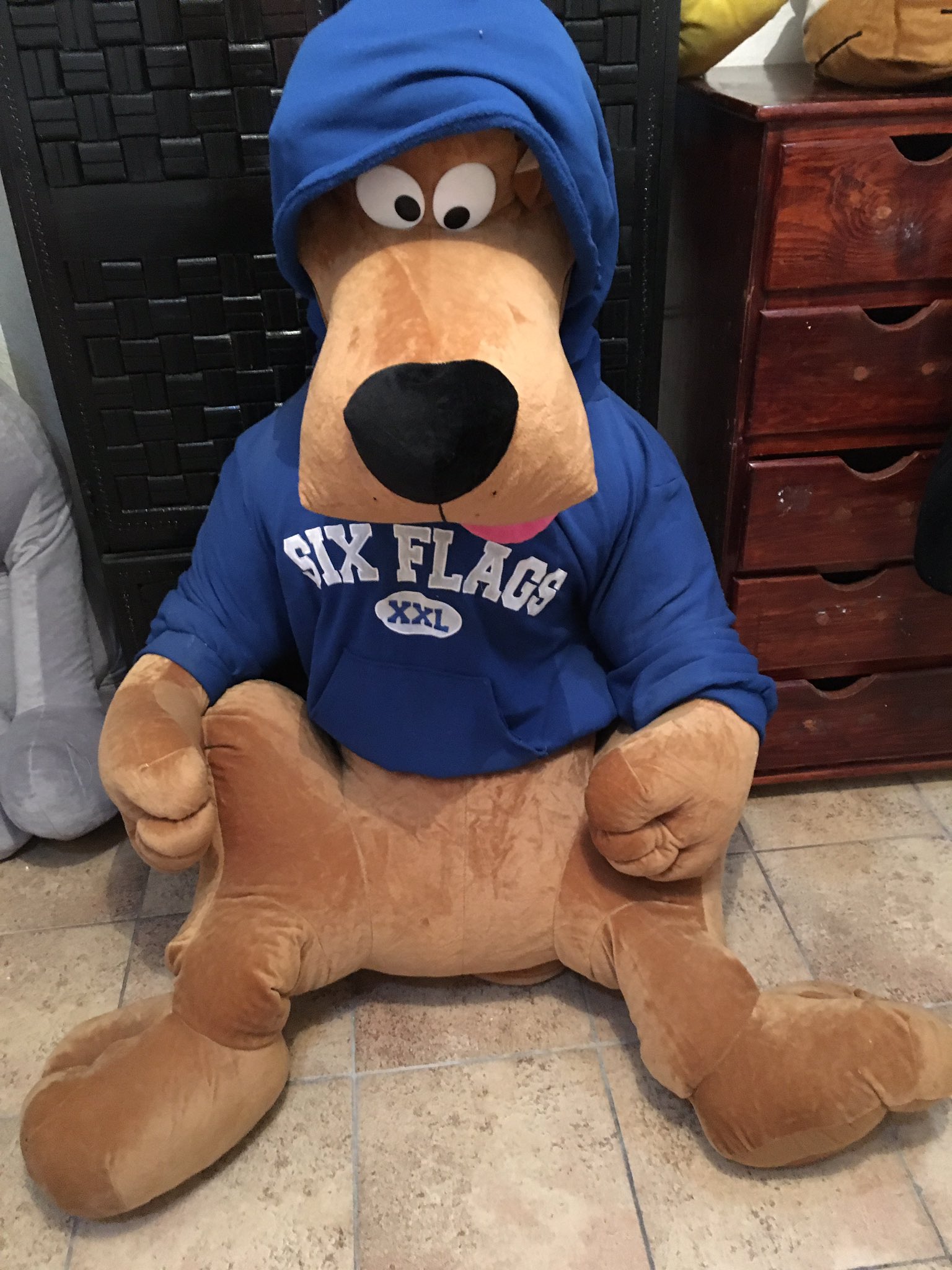 Spectrus One on Twitter: "REMATE: PELUCHE GIGANTE SCOOBY DOO EN $1,000.00  *MEDIO USO. Entrego en cualquier estación de la Línea 8 del metro.  https://t.co/9vhl1E8Ynv" / Twitter