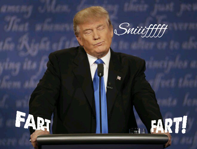 EureekaStarfish's tweet photo. All that sniffing with #TrumpVSHillary #PresidentialElection #TownHall https://t.co/QXxCnNYBFP