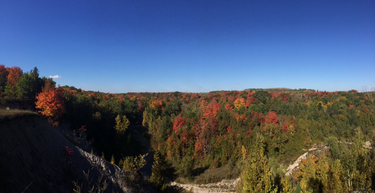sgwint's tweet photo. Little mini "escape" from the city overlooking the Rouge River #rougewalks https://t.co/vj1WtRcqu7