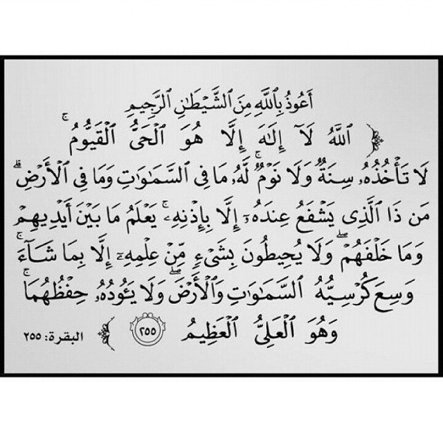 الموج 🌊 العالي™ tweet media