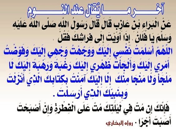 الموج 🌊 العالي™ tweet media