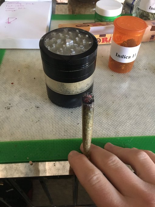 🔥 cannabis cup judge 💨💨💨 https://t.co/F8GCofU4uD<a href="/tag/dabpack"class="tags"><span>#dabpack</span></a>