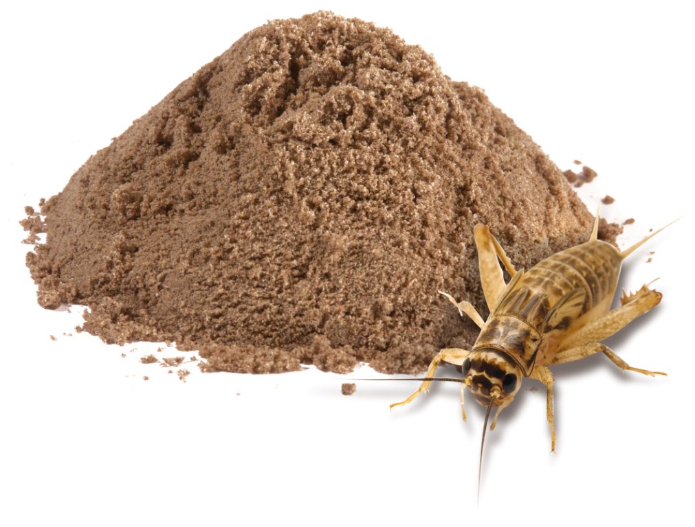SamanthaHeller's tweet photo. #Flavor chemist Dr. Devin Peterson says #cricketflour is the next #Bigthing. #NotforVegetarians  #TheOnlyCleanse #isthisnecessary https://t.co/5xr30FHUtl