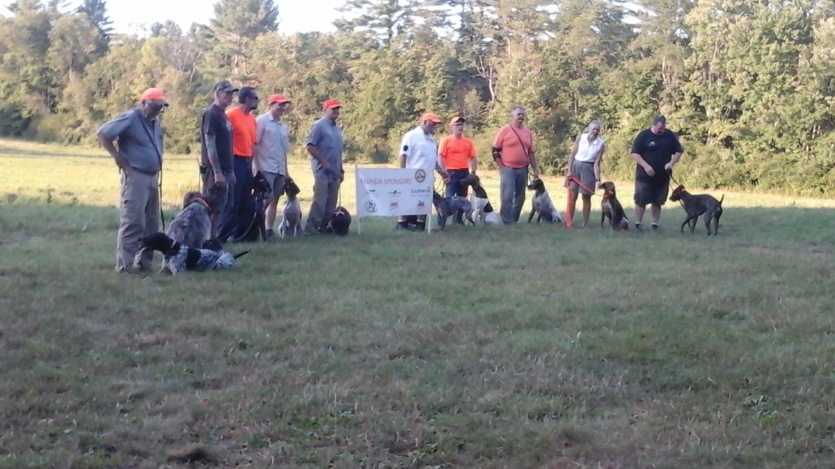 Zab08zoe's tweet image. Winners, fall test, Merrimack Chapter, Hopkinton, NH. Fun day and awesome barbeque. #NAVHDA   # bird dog  #New Hampshire