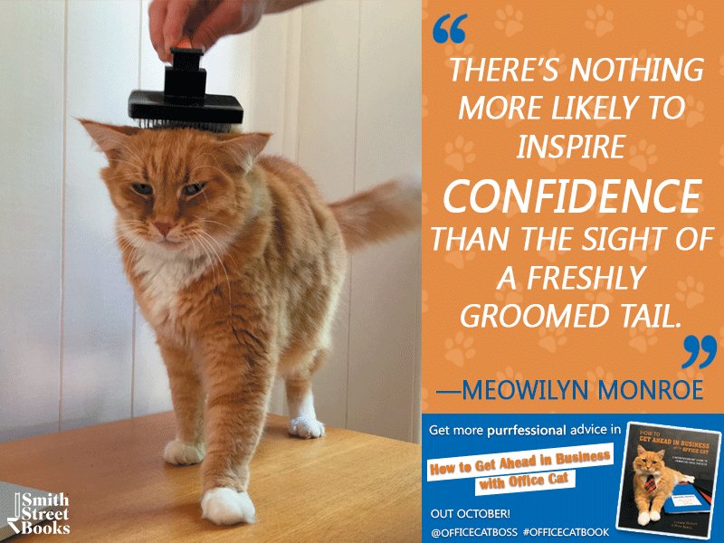 SimonSchusterAU's tweet photo. Don't forget to #DresstoImpress today! #MondayMoti #OfficeCatBook #WorkInspiration  @officecatboss https://t.co/j28uruqJR5