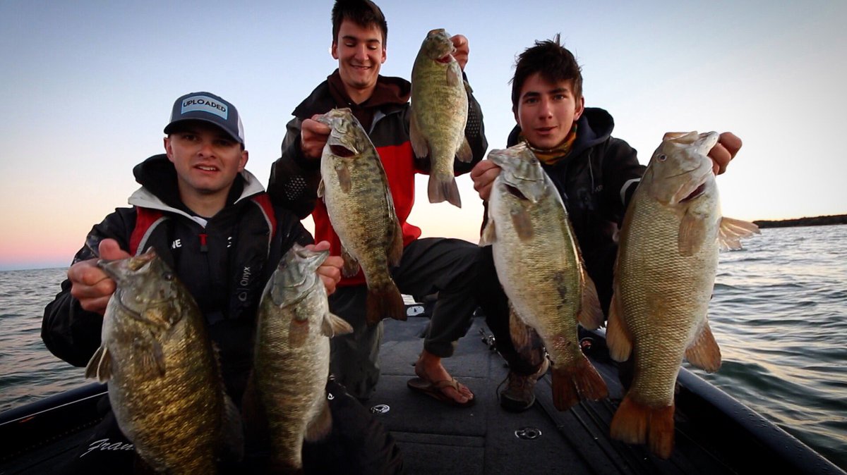 Toads ...