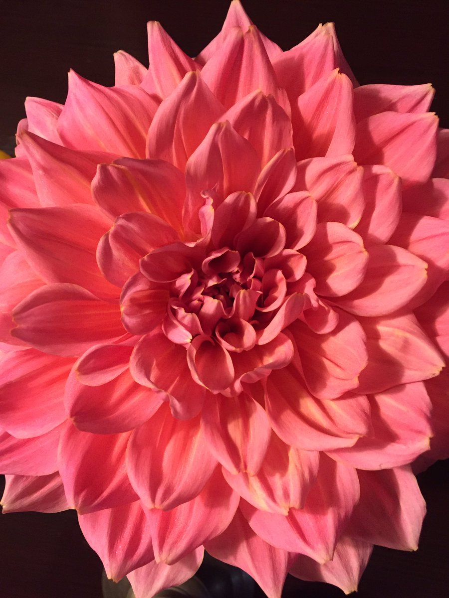 Karen Connell tweet media