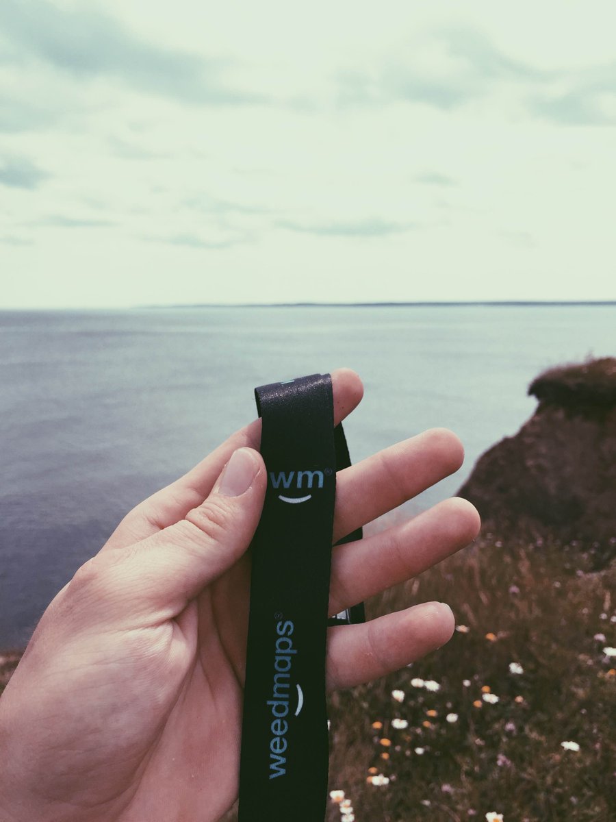 weedmapsca's tweet photo. Weedmaps keeps you connected to the best dispensaries even when you're on the road. Where's your next trip to? #WeedmapsCA https://t.co/Z6JR7yCnMt
