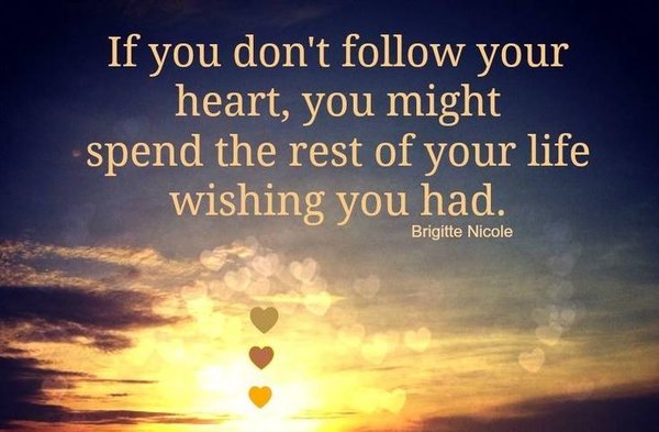auroraquynhon's tweet photo. "If you dont follow your heart, you might spend the rest of your life wishing you had." https://t.co/YqlSWBXtzd