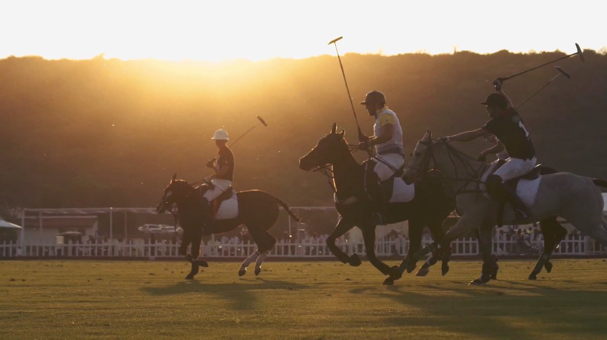 PinPoint_Com's tweet photo. Ya sólo faltan unas semanas más para el evento del año: @britishpoloday
Ve un poco de lo que se vivió en el 2015: https://t.co/z1PsceN5Tj https://t.co/F0Zqt1c5jG